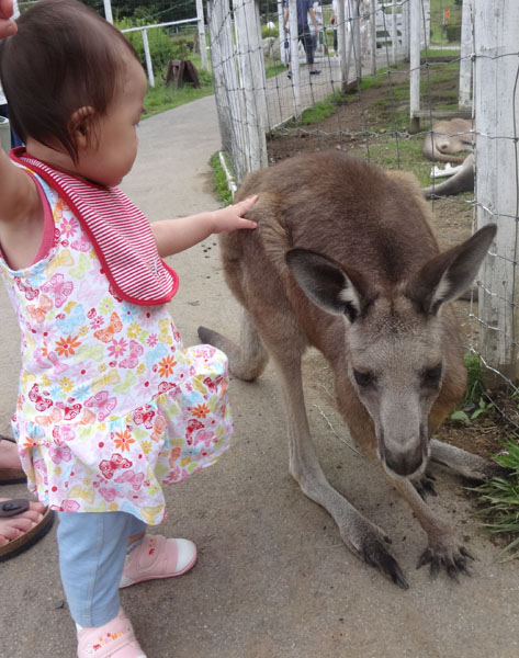 先ブログ用ひまりカンガルー.jpg