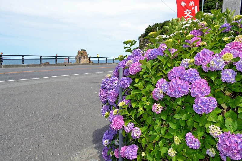 DSC_8862.jpg
