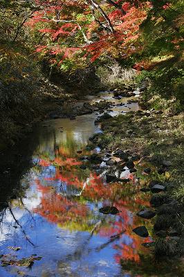 s-A小玉川渓谷.jpg